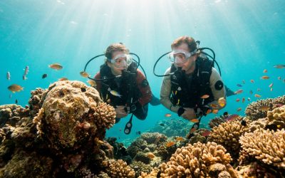 Wenn alle feiern – und man selbst etwas anderes sucht